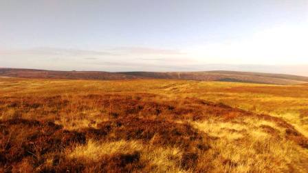Looking across Goyt's Moss to the Cat & Fiddle on the horizon