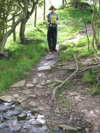 Climbing up to Greenbarn