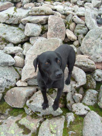 Tommy on the summit