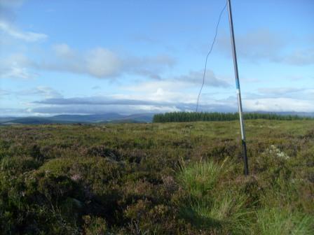 Looking towards the Cairngorms and the forest