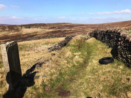 Public footpath just beneath Axe Edge South