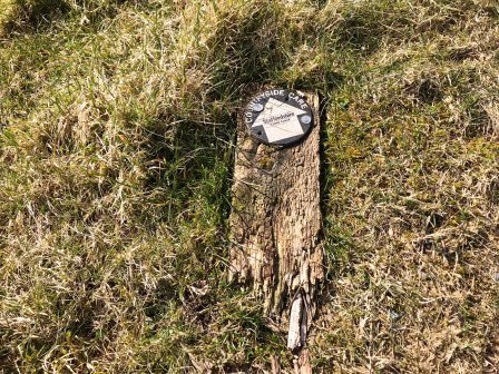 Bear left onto a faint grassy path - very easy to miss!