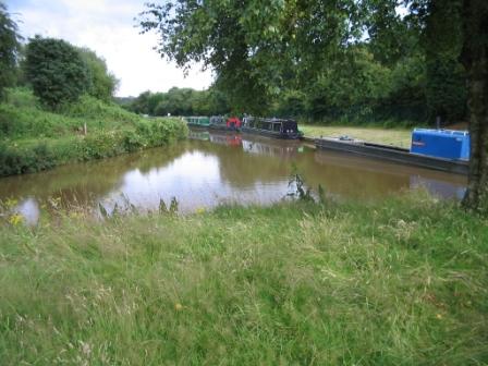 Canal junction at Hardings Wood