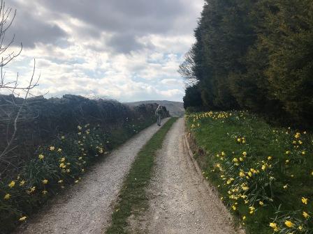 Track towards White Knowl Farm