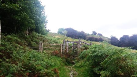 Starting to climb up Loughrigg Fell