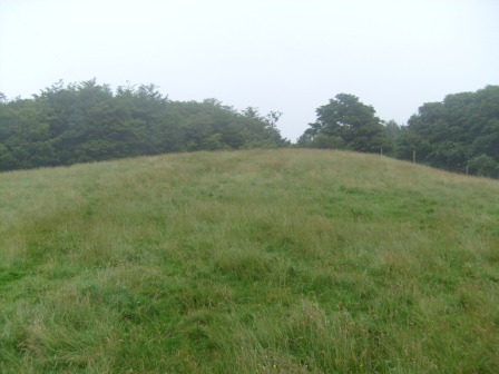 The summit of Watch Hill