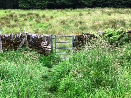 Between Todd Brook and Cornfield Farm