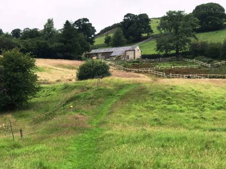 Cornfield Farm