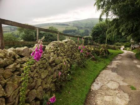 Close to Charles Head Farm