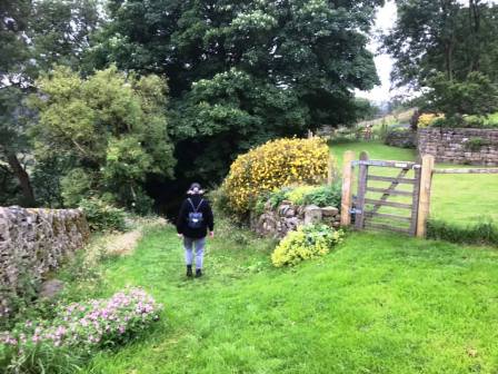 Marianne descending from Charles Head Farm