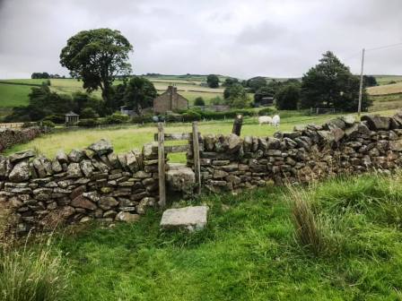 Last couple of fields to cross back to Kettleshulme