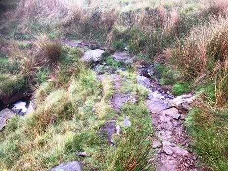 Path down Cumberland Brook