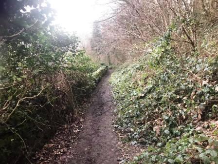 Pleasant path along the hillside