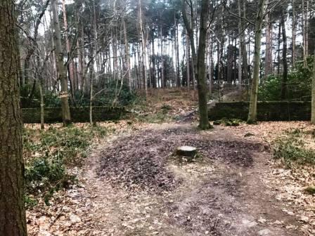 Trail through the woods at Alderley Park