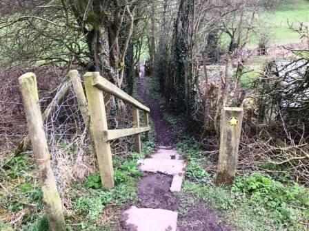 Steps down from the canal