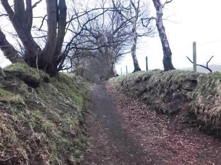 Footpath on Danes Moss