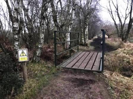 Footbridge in the nature reserve