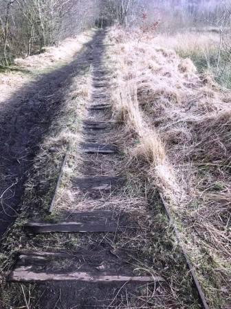Remnants of the old Danes Moss Tramway that used to bring peat across to the main railway line