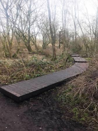 A boardwalk to the right if you want to explore deeper into the nature reserve
