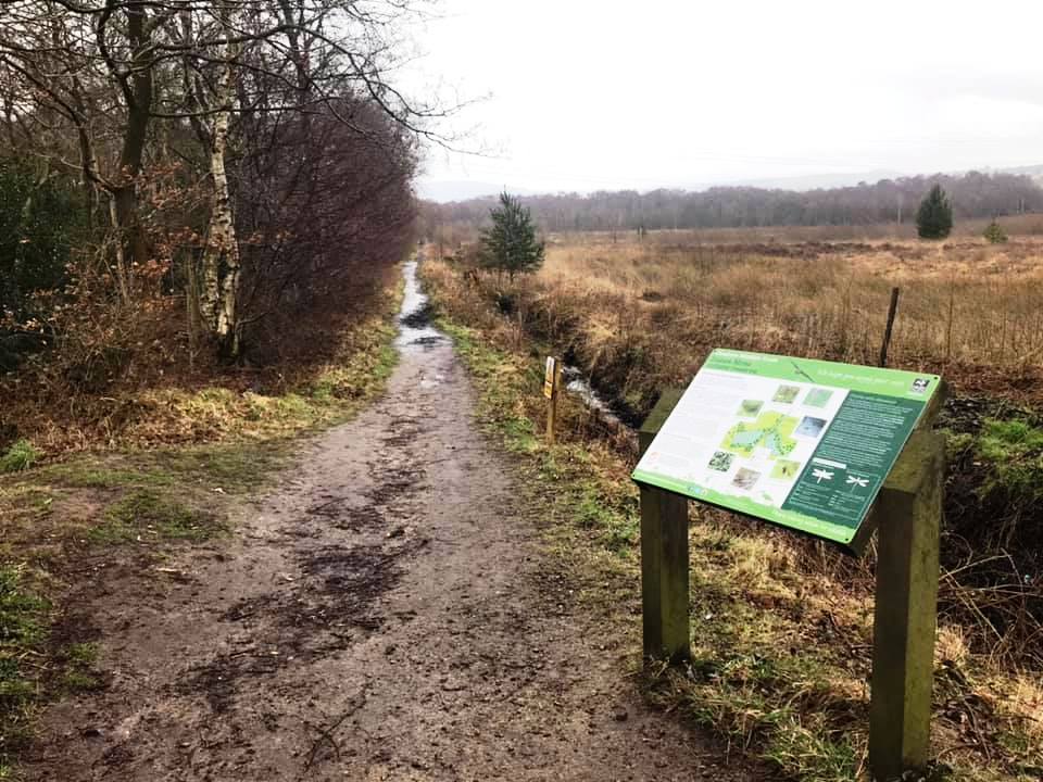 Start of the Danes Moss Nature Reserve area