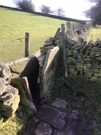 Squeeze stile on the path to Rainow