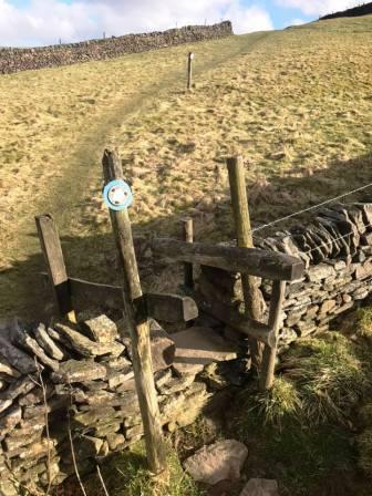 Interesting wall stile uphill from Berristal Road