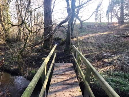 Footbridge in the wood