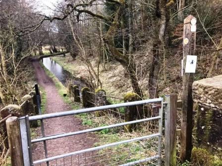 Canal feeder path