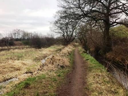 Canal feeder path