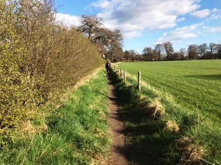 Footpath between the railway line and Peover Lane