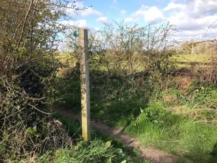 Turn left into another public footpath