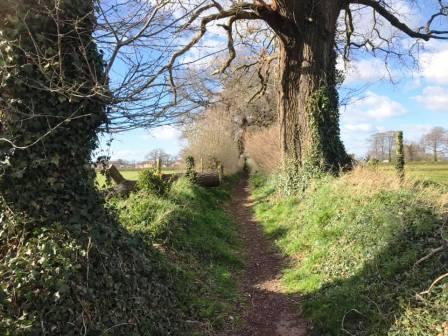 Public footpath back towards Chelford