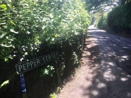 Pepper Street, Henbury