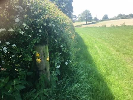 Bear right to follow down beside the hedge