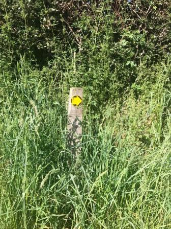 Easy-to-miss waymarker - a left turn as you leave Blake House Farm