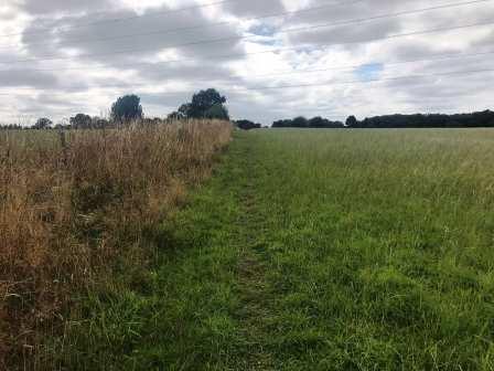 Footpath towards Chelford passing under power lines