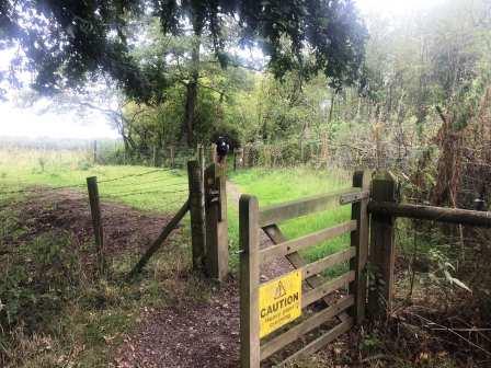 Footpath towards the quarry lakes