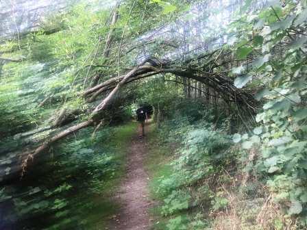 Footpath towards the quarry lakes