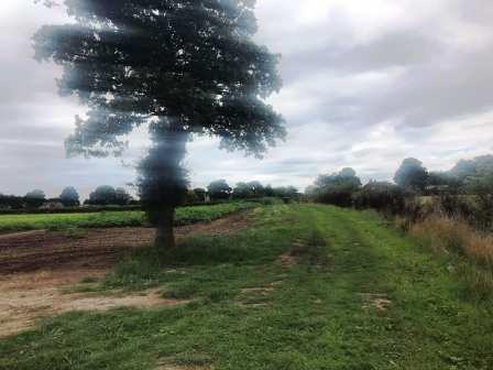 Public footpath towards Chelford village