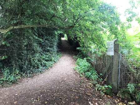 Turn right onto the Buzzy Bees Woodland Walk