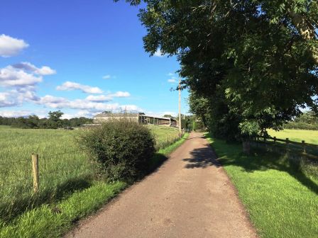 Track to Dalehouse Farm