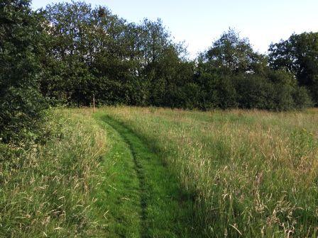 Path from Greenacres to Gawsmoor