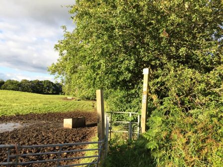 Kissing gate into New Farm