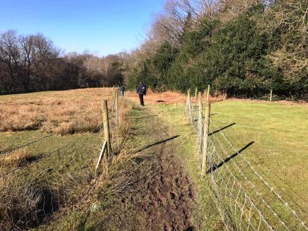 Short muddy path linking to the Middlewood Way