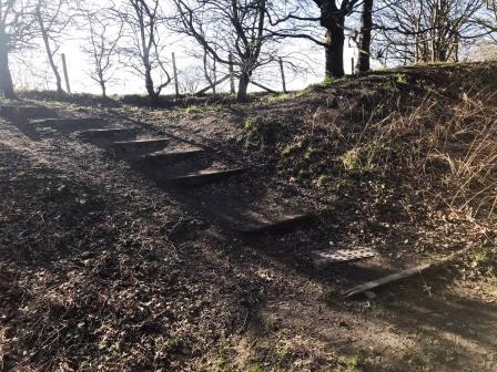Steps to alternative path above the right bank above the Middlewood Way