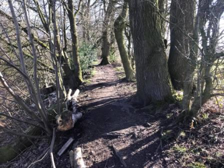 Alternative path on the right bank above the Middlewood Way