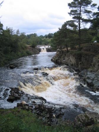 Low Force