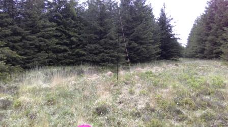 Antenna strung up in the clearing