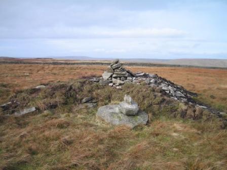 The true summit of Birks Fell