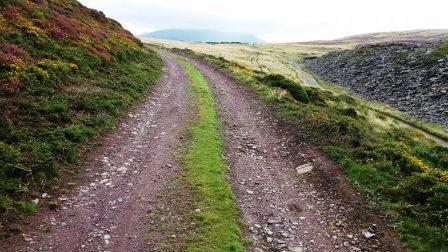 Initial walk along a track